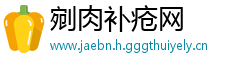 剜肉补疮网